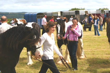 Schull Show