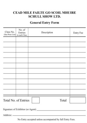 2017 General Form