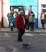 paddy
