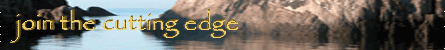 community info