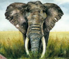71-elephant-SOLD