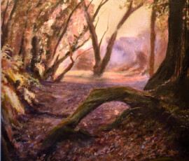 85-Stumpy-Walk (1)