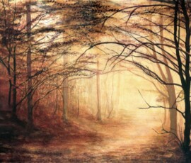 55 Enchanted Forest