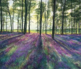 53 Meadow of many colours